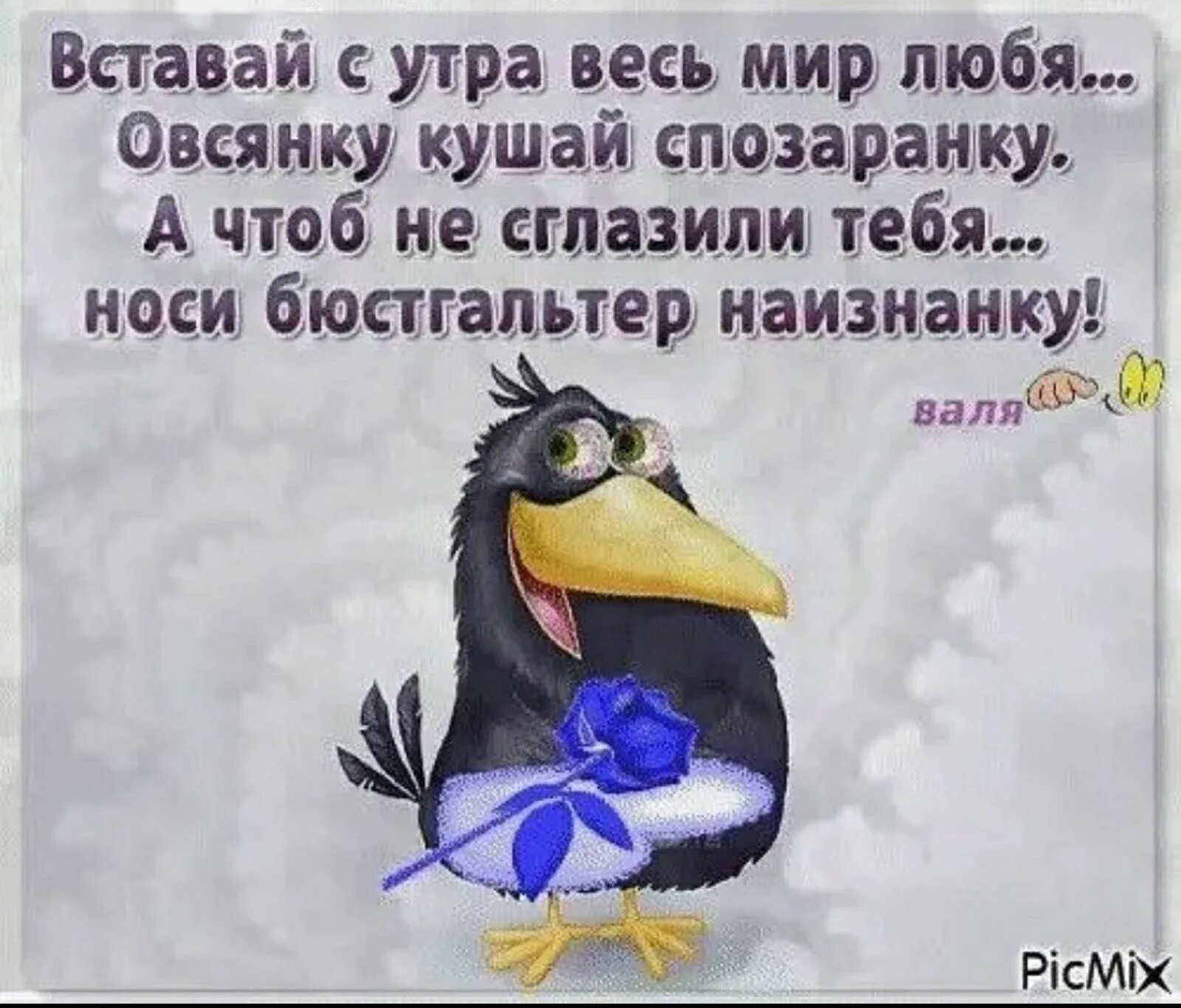 Где тебя носило я тебя любила. Вставай с утра весь мир любя овсянку кушай спозаранку картинки. Утро спозаранку. Вставай с утра весь мир любя бурлит веселье спозаранку. Юморные открытки с высказыванием.