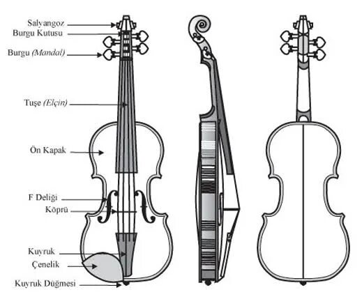 Конструкция скрипки Амати. Строение виолончели схема. Строение смычка для скрипки. Строение контрабаса. Схема скрипки