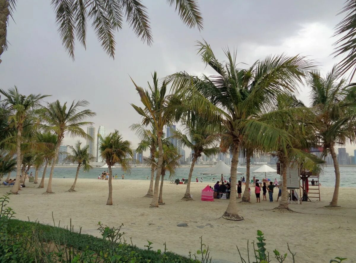 Парк аль мамзар. Парк Аль Мамзар Дубай. Пляж Аль Мамзар. Пляжный парк Аль Мамзар в Шардже. Пляж парк Аль Мамзар в Дубае.