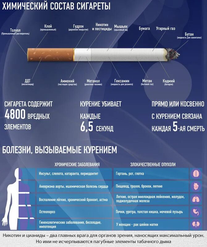 Соответствие стадий выкуривания сигареты процентному содержания никотина. Химический состав сигарет. вредные вещества в сигарете. содержимое сигареты. из чего состоят сигареты в россии.