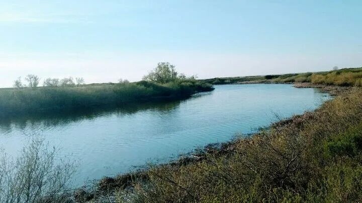 Миусс ершовский район саратовской области. Камелик (река). Камелик Саратовская область. Миусс Ершовский район. Чапаевка Саратовская область.