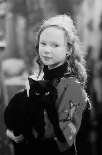 Коты 1993