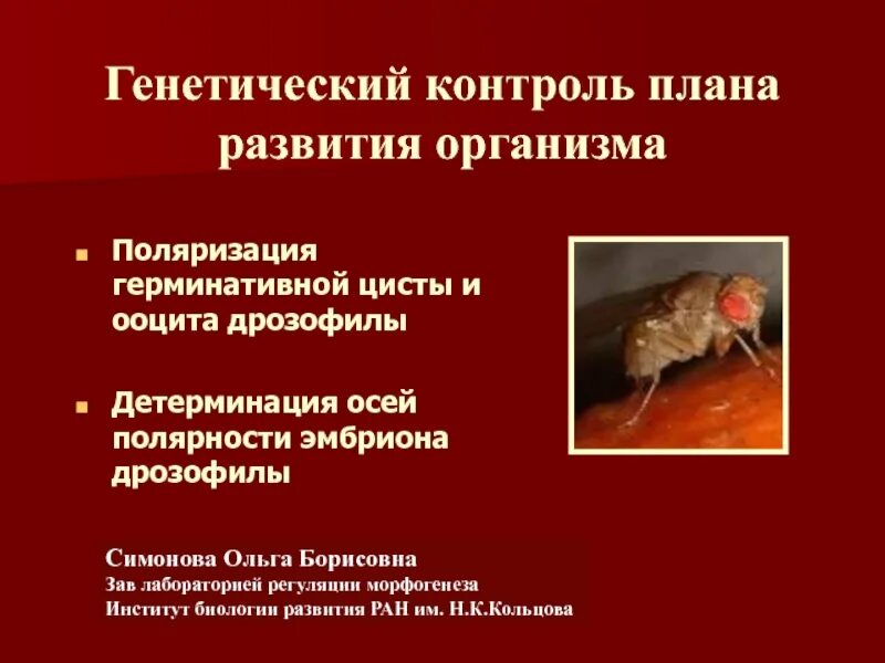 Генетический контроль развития. Генетический контроль. генетический контроль биология. генетический контроль метамерной организации организмов.