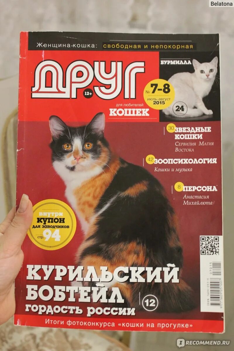 Сайт журнала друг. Журнал друг. Журнал про кошек. Кошачий журнал.