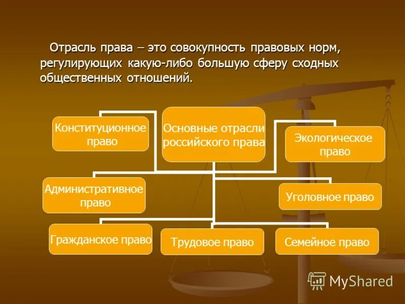 Правовая отрасль внутреннее строение. Отрасли правда.