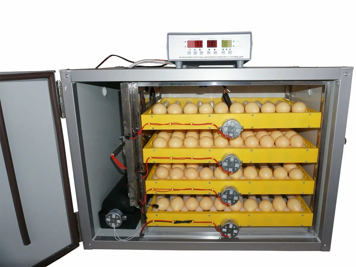 Инкубаторы бытовые автоматические. Инкубатор с двойным питанием MJC. Инкубатор на 180 яиц автоматический MJC-3 220в/12в. Инкубатор на 240 яиц автоматический. Инкубатор для яиц Egg incubator QC Pass 04.