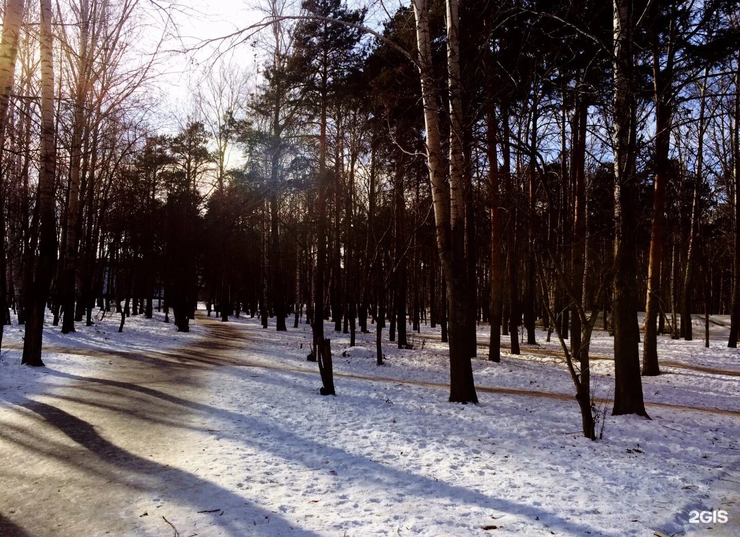 Екатеринбург парки зимой. Парк камвольного комбината в Екатеринбурге. Парк камвольного комбината Екатеринбург Вторчермет. Пруд Муха Вторчермет Екатеринбург. Лесопарк Екатеринбург Сибирский тракт.