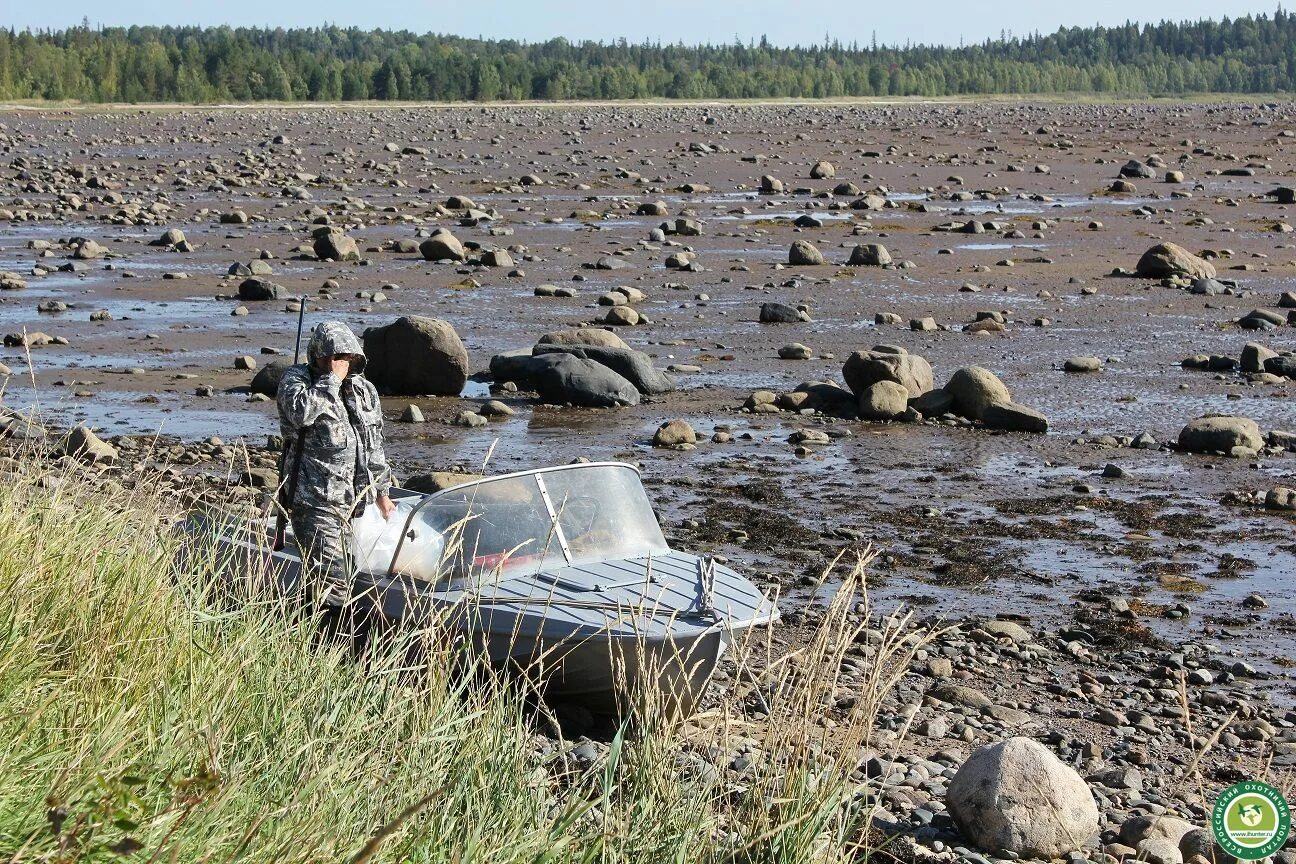 Прилив беломорск. Малошуйка архангельская область белое море. белое море отлив. белое море отливы и приливы. приливы в белом море.
