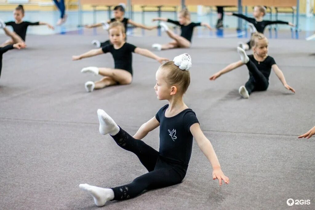 Спортивная школа спортивная гимнастика екатеринбург. Дюсш локомотив спортивная гимнастика. Дюсш щербинка художественная гимнастика. Спортивная аэробика екатеринбург дюсш верх-исетский. Либела в аэробике.