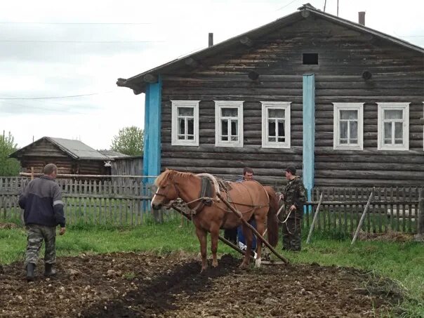 Чтобы жило село. Жизнь в селе. Деревне жить. Деревенские люди. Люди живущие в деревне.