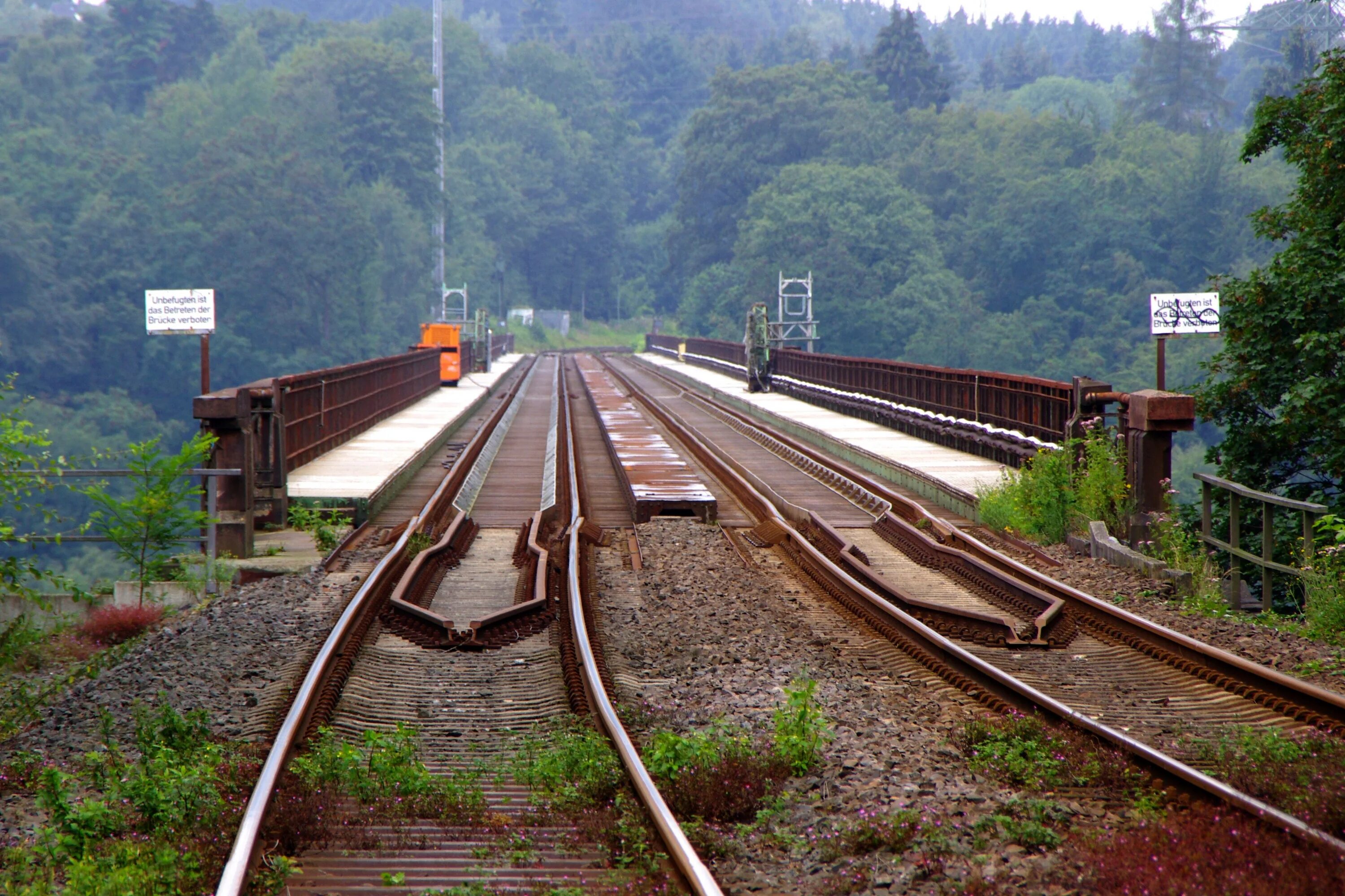 Самые густые железные дороги. Железная дорога Rail track 4110. Танзамская железная дорога. ЖД дорога. Железнодорожные пути.