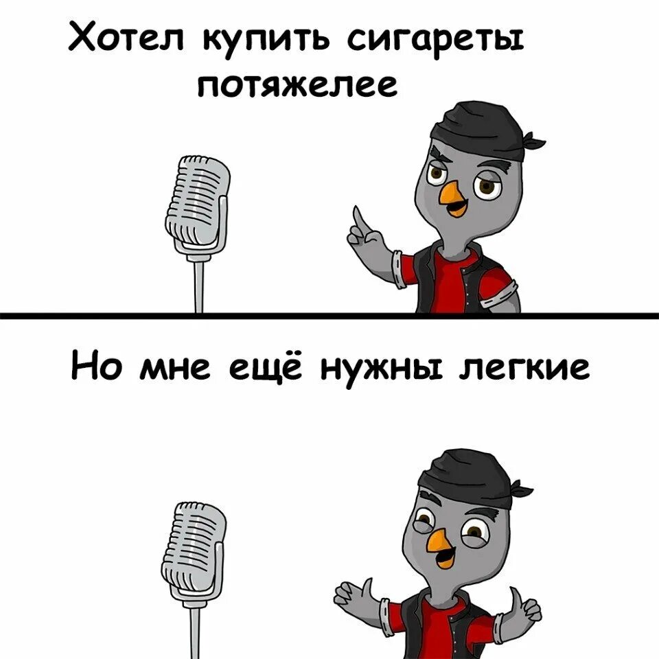 Стендап шутки. Стендапы от совы. стендапы мемы. стендапы от вови.