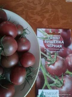 Томат вишенка отзывы