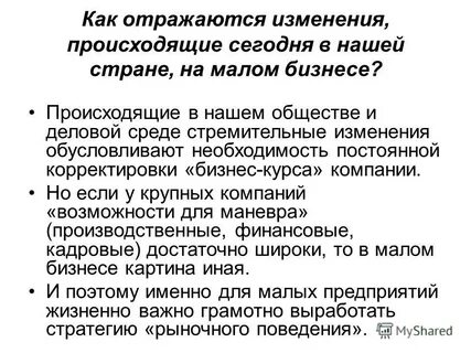 Малые предприятия курсовая