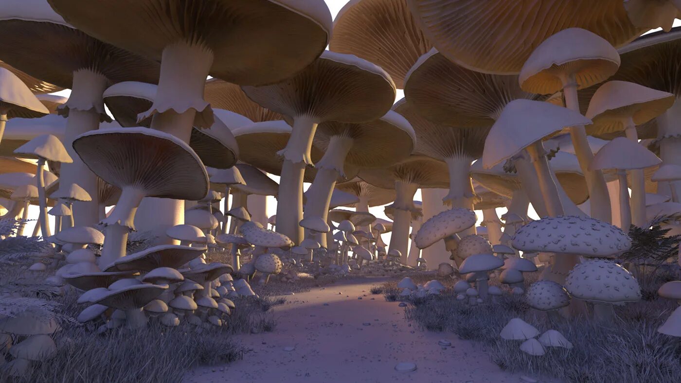 Гигантские грибы фэнтези. Грибная полянка для детей. Сказочный пейзаж. Сказочная поляна с грибами. Фантастические грибы на планете.