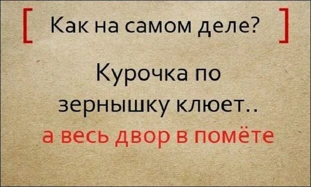 За битого двух небитых дают смысл. Курочка по зернышку клюет пословица. Поговорка Курочка по зернышку клюет продолжение. Пословица Курочка по зернышку. По зернышку клюет и сыта бывает пословица.