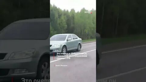 Последние новости о открытии границ с беларусью