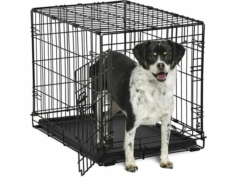 Midwest клетка contour 63х46х49h см 2 двери. Клетки contour. Midwest клетка contour 79х51х55h см 2 двери. 91 х 58 х 64 см клетка midwest icrate. Клетка для собак midwest life stages 4486dd.