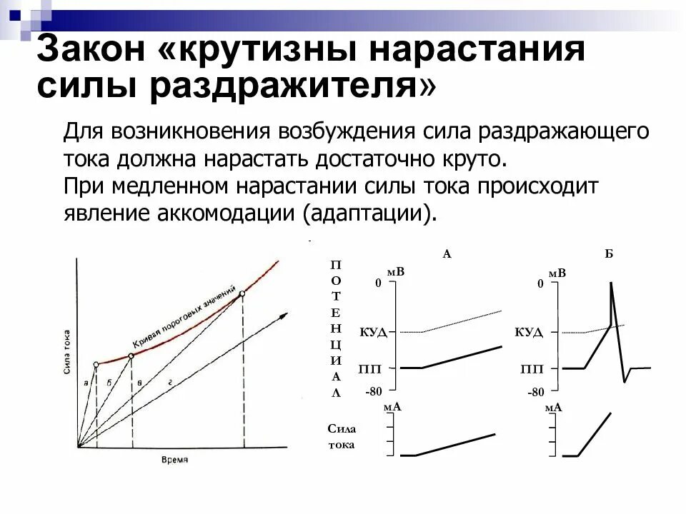 Закон скорости нарастания раздражения физиология. Закон силы раздражения возбудимых тканей. Закон крутизны нарастания силы раздражителя. Закон силы раздражения Дюбуа-Реймона.