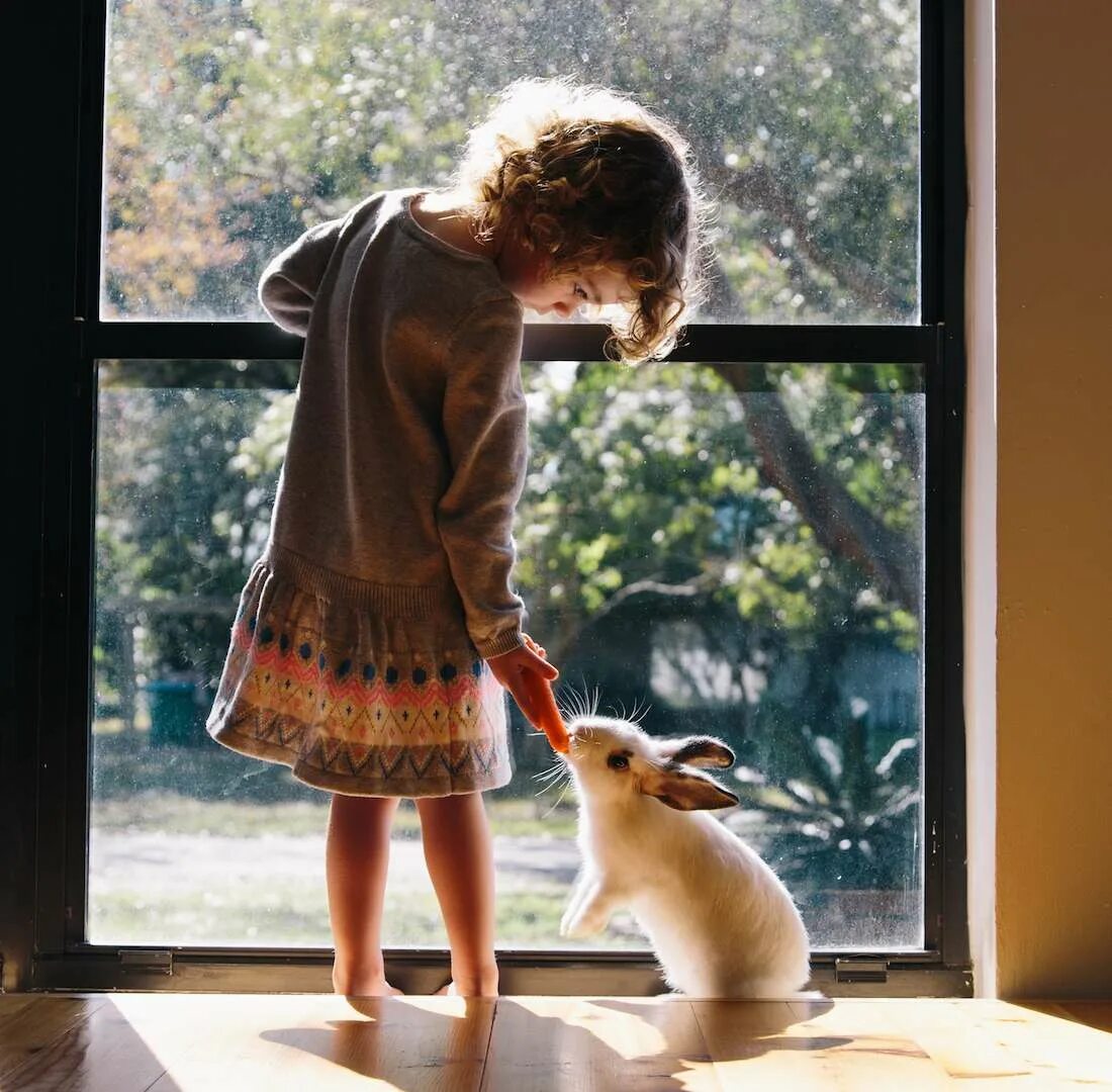 Довольно теплый. Довольно теплый. Довольно теплый. Теплая погода. Увеличение количества дождей в европе фото.