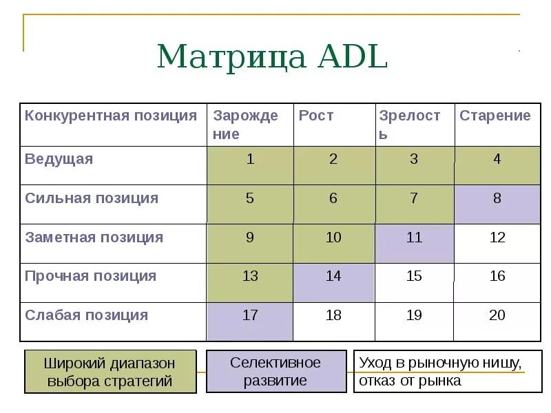 Матрица модели ADL/LC. Матрица Артура д. Литтла (ADL-LC (Life Cycle)). Матрица АДЛ на примере предприятия. Маркетинговые матрица