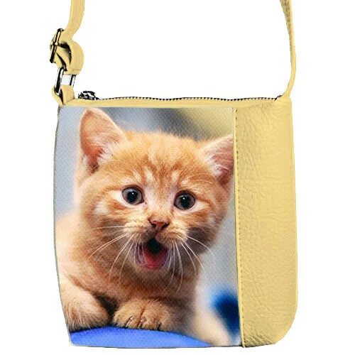 Сумка рыжий кот. Сумка с рыжим котиком. сумки рыжий кот. сумка для посуды рыжий кот. рюкзак с реалистичными картинками рыжего котенка желтый.