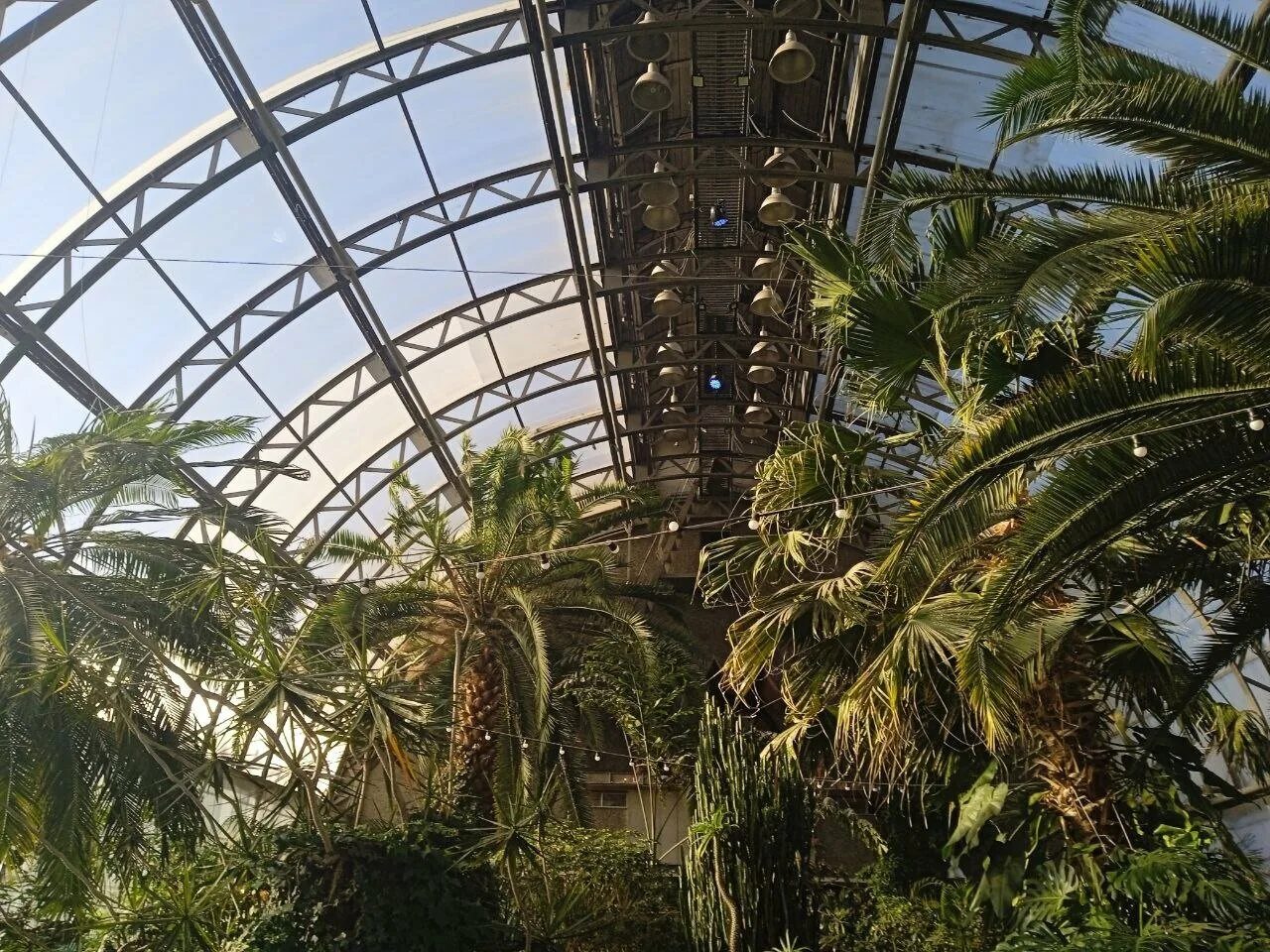 Оранжерея принадлежавшая миллионеру. Ботанический сад кью оранжерея принцессы уэльской. Оранжерея принадлежавшая миллионеру. Пальмовая оранжерея георгий фишер. Conservatory of flowers, san francisco.