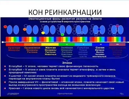 Света кон