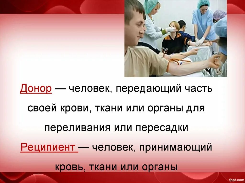 Подбор доноров. Донорство это определение. Донор это в биологии. Донорство биология.