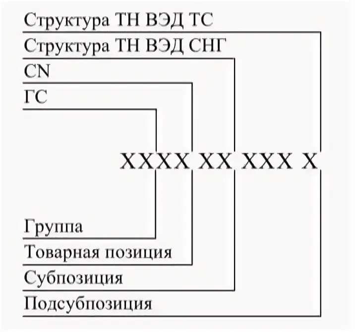 Окпд соответствие тн вэд