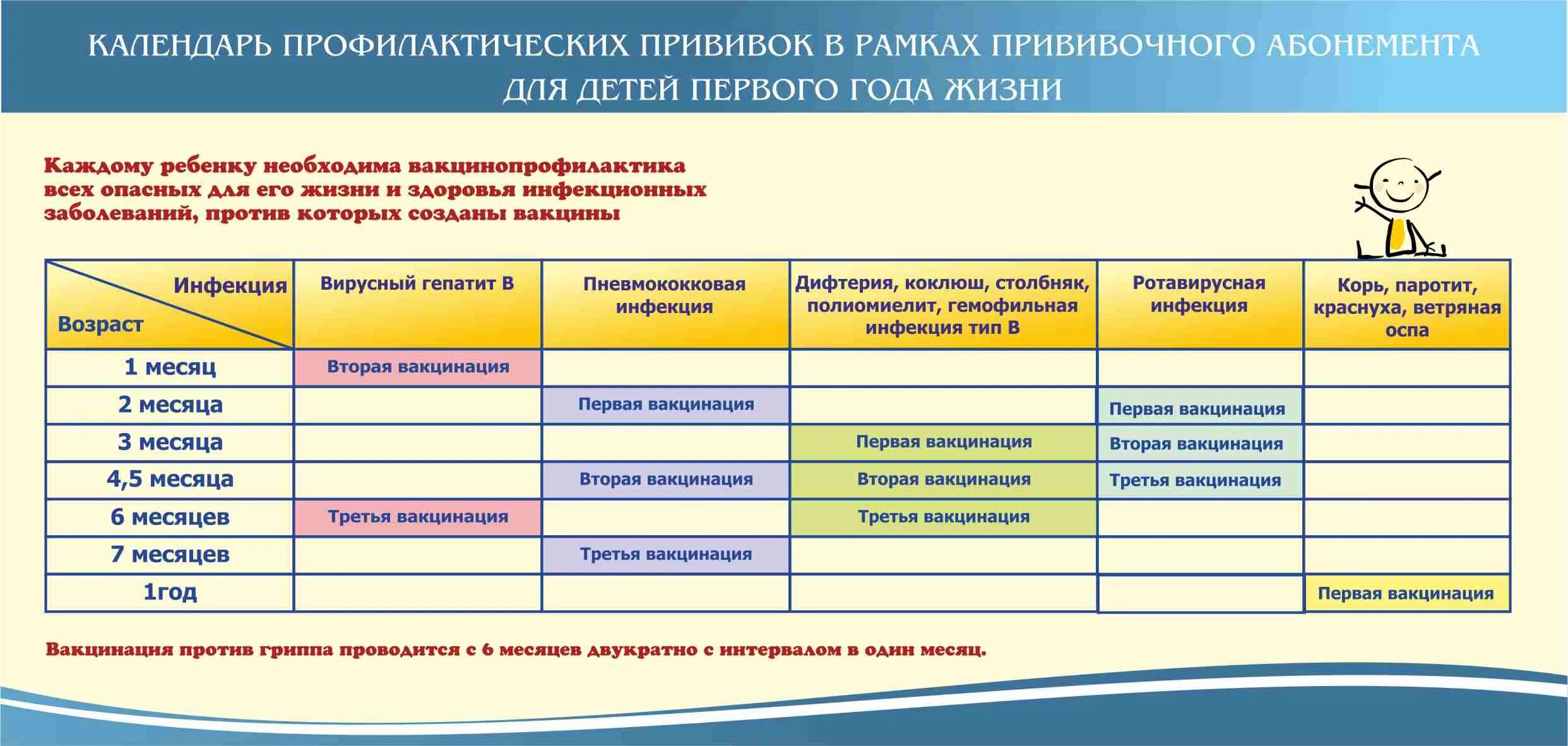 Вакцина от ротовирусных инфекций. График прививок до 1 года ребенку. Прививки детям до 2 лет график. График вакцинации детей до 1 года. Схема прививок для детей до года.