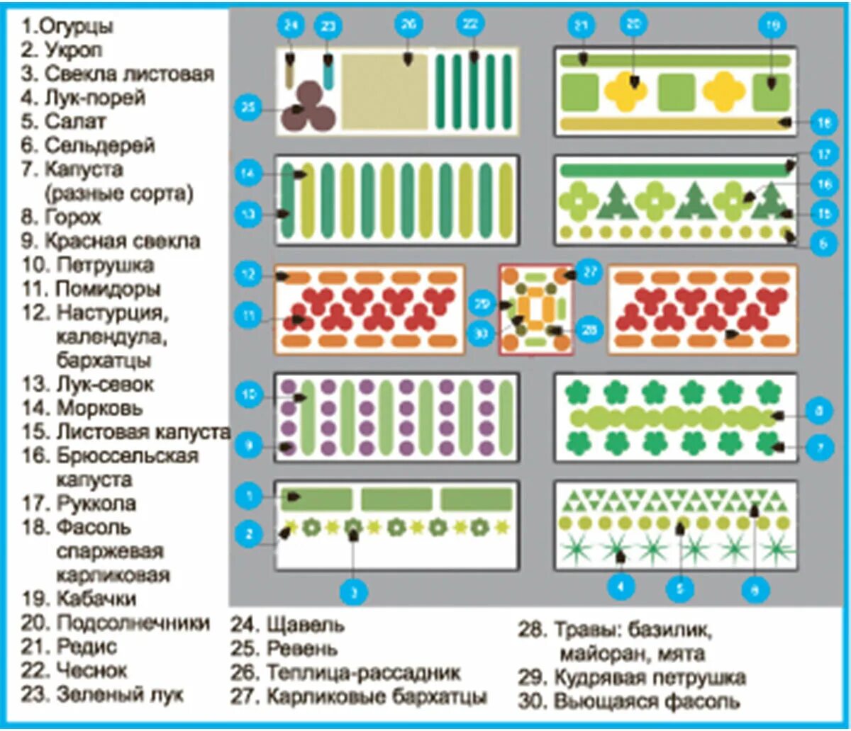 Планы высадки. Схема смешанных посадок овощей. Смешанные грядки схемы посадки. Схема посадок на дачном участке овощей. План посадки овощей на огороде схемы.