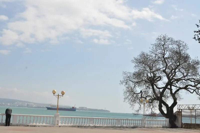 погода в геленджике в марте 2024