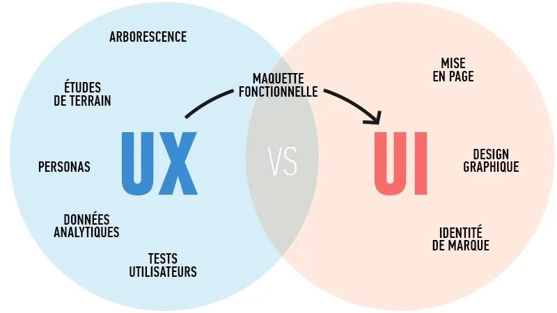 UI/UX дизайн информационного сайта тренды 2024. L experience