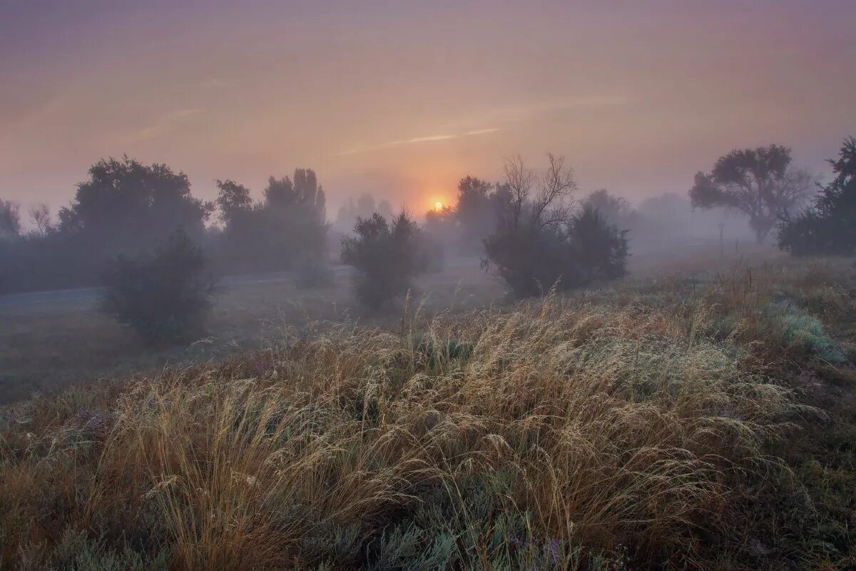 Утро выдалось прохладное золотое. Туманное утро в Италии Айвазовский. Утренний туман. Утро туман. Туманное летнее утро.