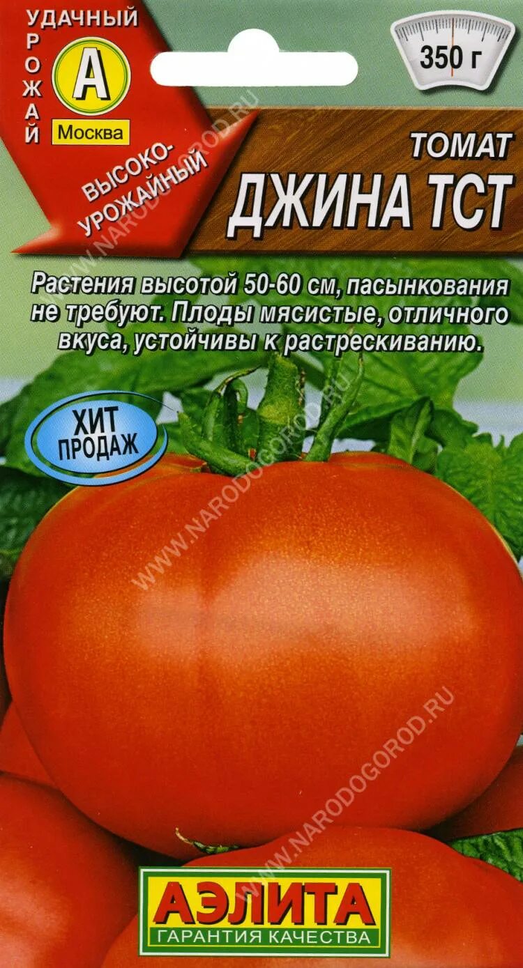 Томат Джина - описание сорта, фото и выращивание дома