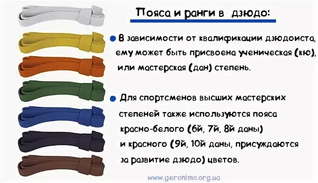 Какой пояс в казани. Поясная система в дзюдо. Пояса в дзюдо по порядку по цвету в России. Система поясов в дзюдо. Классификация поясов в дзюдо.