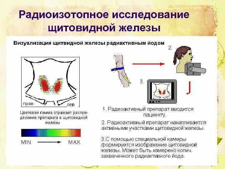 Радиоактивный изотоп йода. Радиоизотопный метод исследования щитовидной железы. Радионуклидные методы исследования щитовидной железы. Инструментальные методы исследования щитовидной железы презентация. Радионуклидная диагностика щитовидной железы сцинтиграфия.