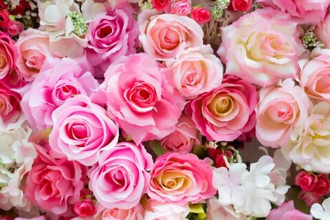 Flowers us