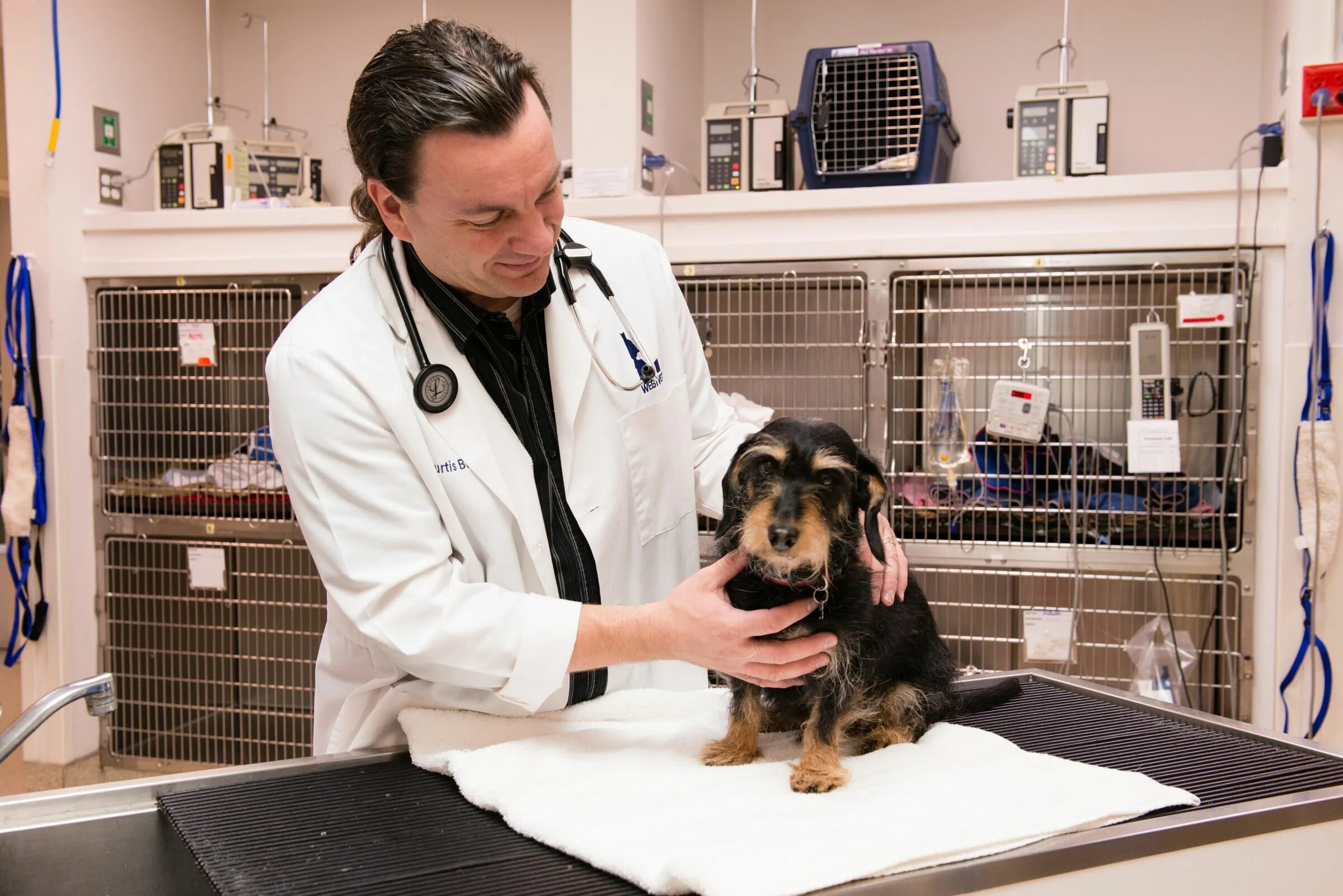 Ветеринарный врач приема. JD Pet Hospital Ветеринария. Vet Clinic. Pet vet Clinic. Картинки vet Clinic.
