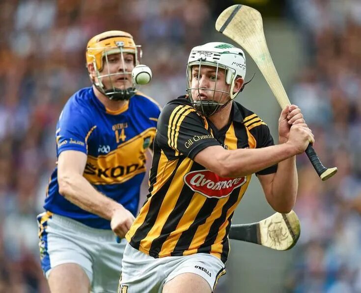 Херлинг. Hurling спорт. Херлинг в ирландии. Херлинг. Хёрлинг вид спорта в ирландии.