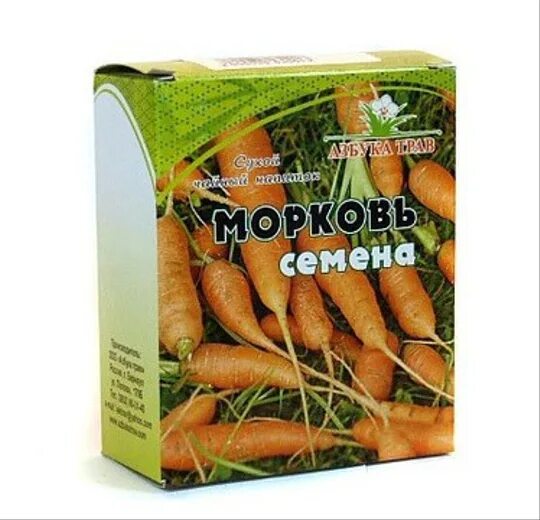 Круглая морковь семена. Семена моркови аптечные. Аптека семена моркови. Семена моркови аптечные. Семена дикой моркови.