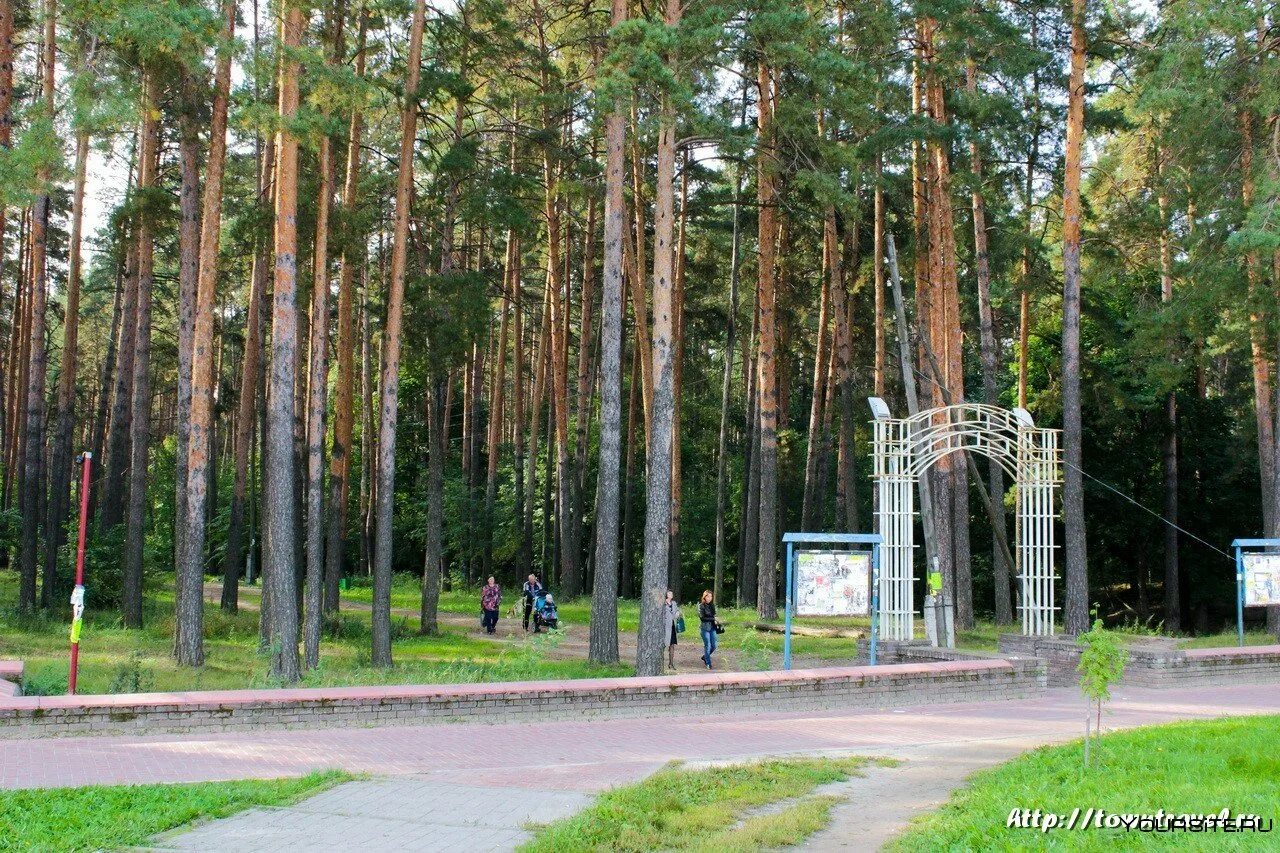 Квц нижегородская область выкса. Нижегородская область г. Выкса парк. Парк города Выкса Нижегородская. Парк Выкса достопримечательности. Город Выкса Нижегородской области площадь.