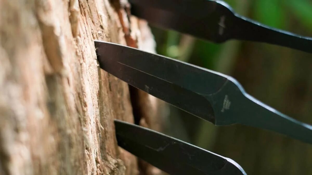 Приснился нож к чему. Сон кидаются ножами. Шаймухамбетов канат судоисполнитель. Сон кидаются ножами. Маньяк преследует девушку.