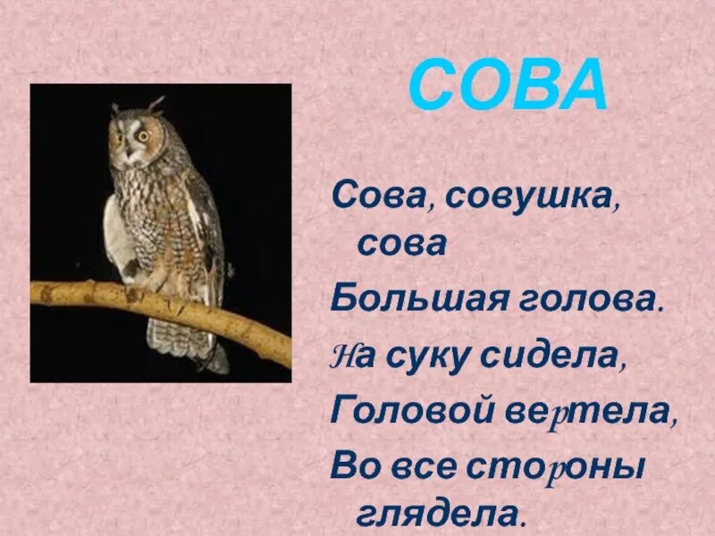 Совушка-Сова большая. Совушка Сова большая голова. Совушка Сова большая голова стишок. Потешки Совушка Сова. Песня сова хочешь дружить я с радостью