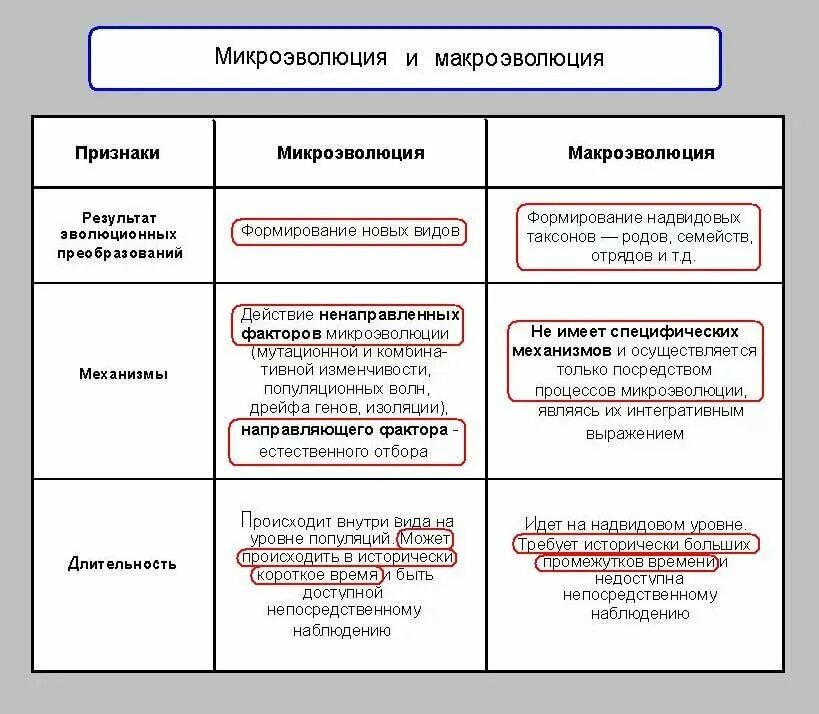 Какие примеры эволюционный процесс Эволюция. Чарльз Дарвин о причинах эволюции животного мира