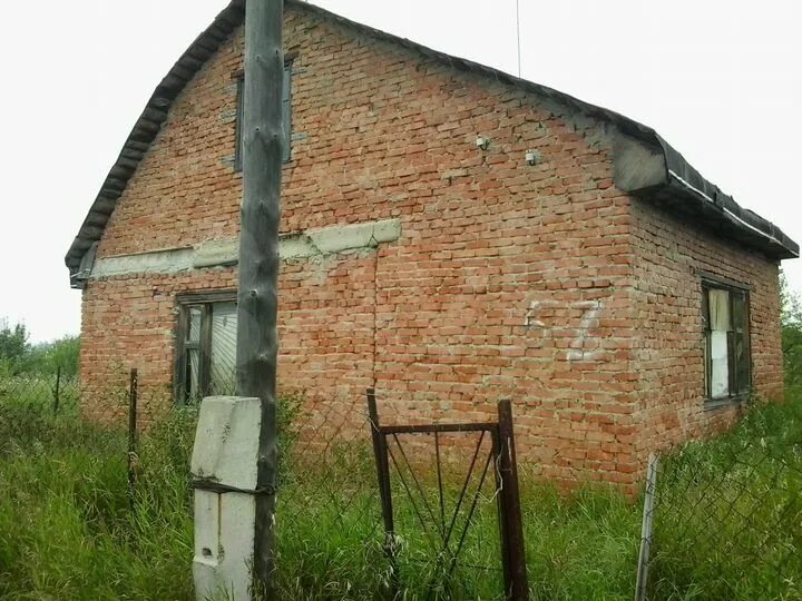 Новые зори алтайский край. Погода новые зори алтайский край на 14. Погода новые зори алтайский край на 14. Павловск черёмушки 2. Стуково алтайский край.