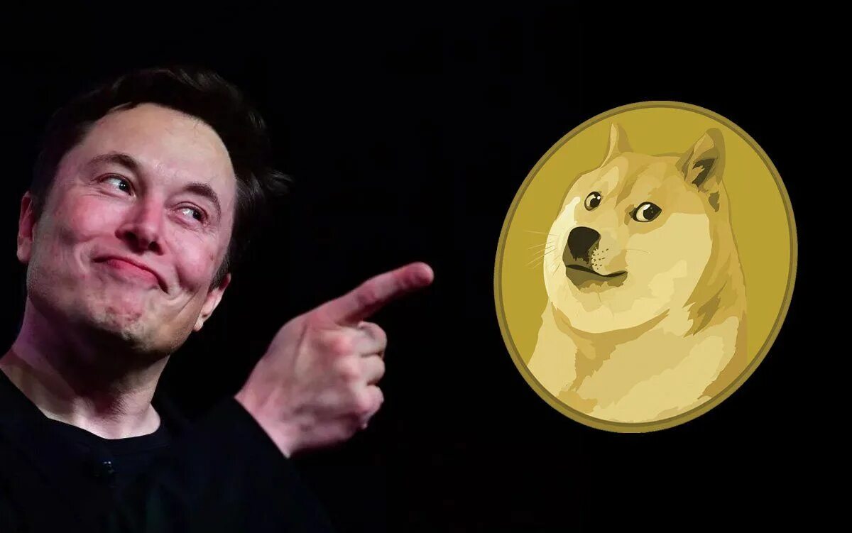 Илон маск и догкоин. Илон маск doge. Dogecoin илон маск. Маск коин. Догикоин илон.