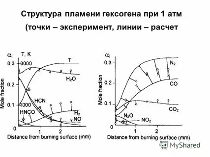 Точка опыта