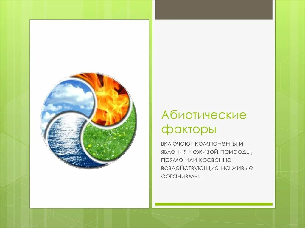 Абиотический фактор примеры биология. Абиотические факторы. Абиотические факторы рисунок. Абиотические факторы картинки. Абиотические факторы среды.